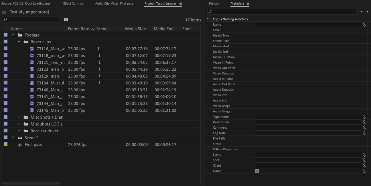 You should be using the Metadata Panel 4