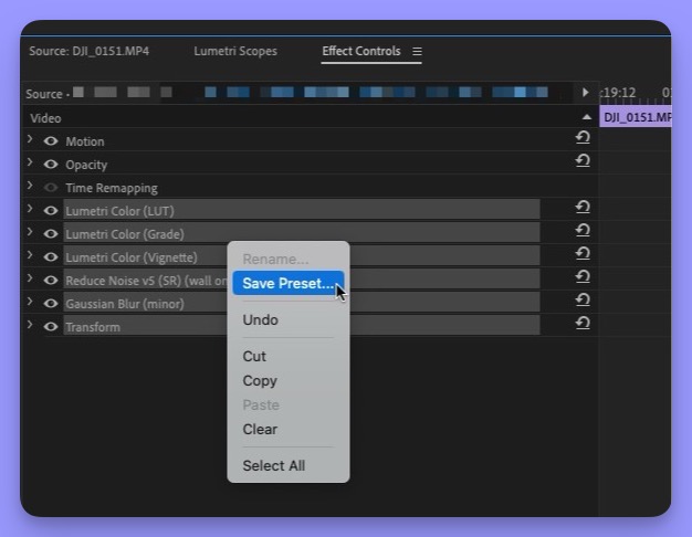 Tool Tip Tuesday for Adobe Premiere Pro: Saving Group Presets 3