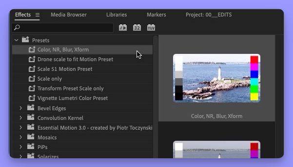 Tool Tip Tuesday for Adobe Premiere Pro: Saving Group Presets 5