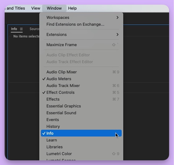 Tool Tip Tuesday for Adobe Premiere Pro: The Info Panel 2