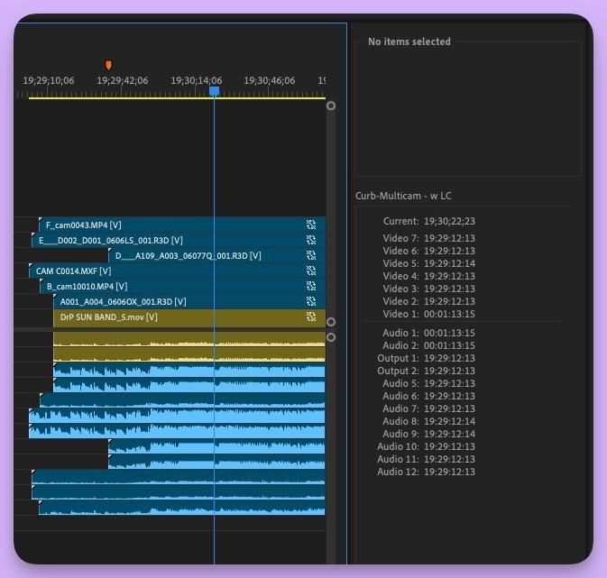 Tool Tip Tuesday for Adobe Premiere Pro: The Info Panel 6