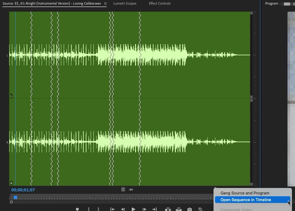 Tool Tip Tuesday for Adobe Premiere Pro: Hacking Remix (or revealing the hidden Remix nest) 6