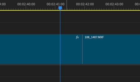 Understanding the new label color and icons in the 2024 Adobe Premiere Pro update 10