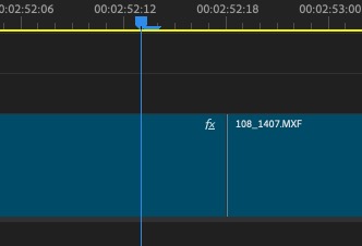 Understanding the new label color and icons in the 2024 Adobe Premiere Pro update 12