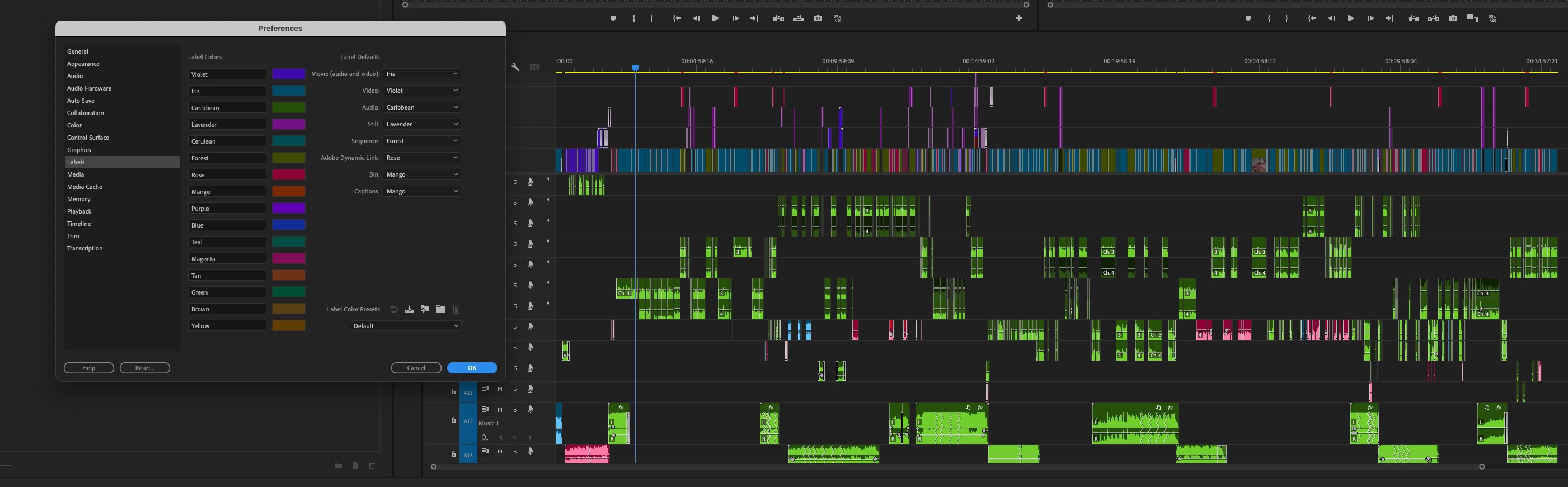 Understanding the new label color and icons in the 2024 Adobe Premiere Pro update 3