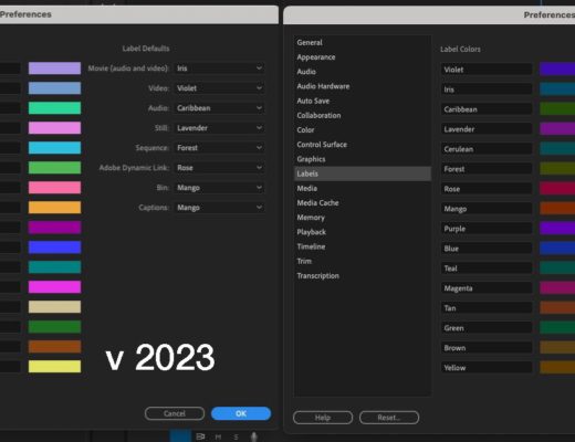 Understanding the new label color and icons in the 2024 Adobe Premiere Pro update 8