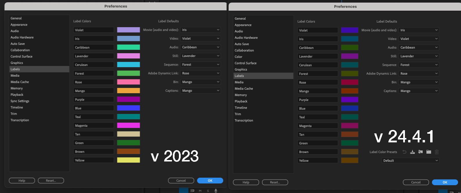 Understanding the new label color and icons in the 2024 Adobe Premiere Pro update 8