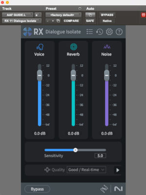 RX 11 - Dialogue Isolate
