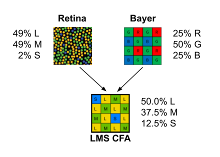 Image compares the random scatter of colour-sensitive cells in the human retina to the diagonally ordered pattern in Image Algorithmics' filte array design