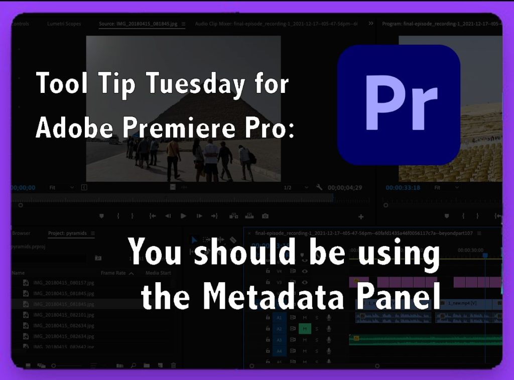 You should be using the Metadata Panel 9