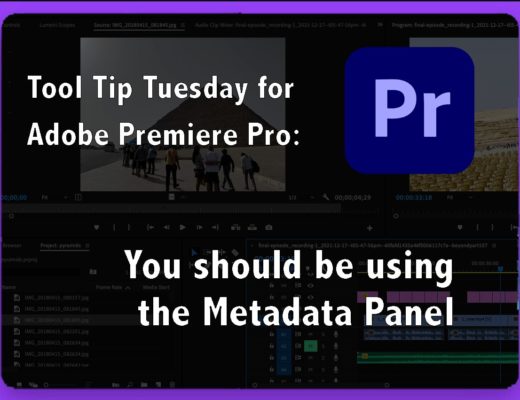 You should be using the Metadata Panel 21