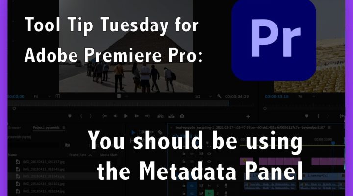 You should be using the Metadata Panel 1