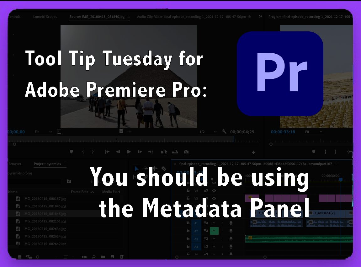 You should be using the Metadata Panel 3