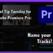 Title: Adobe Premiere Pro Name your Tracks!