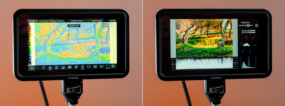 Atomos Shinobi ll review 39