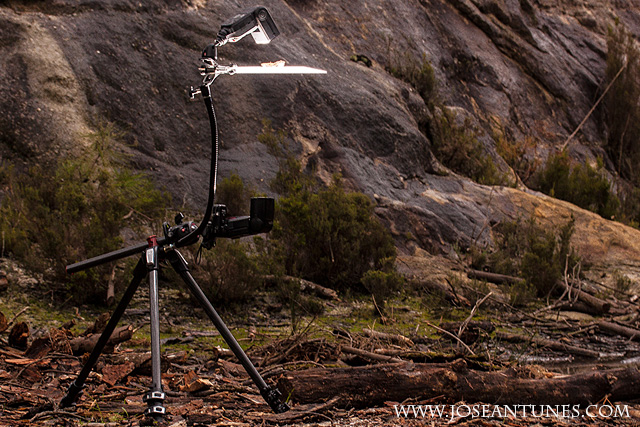 A Portable Light Studio for Nature Photographers 19