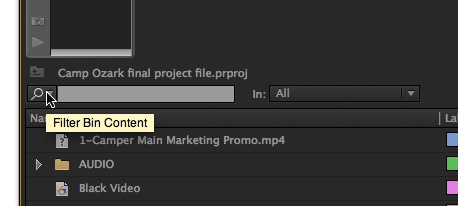 Adobe Premiere Pro Filter Bin Content