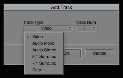 Day 22 #28daysofquicktips - Add a Specific Track Number in your Avid Media Composer Timeline 8
