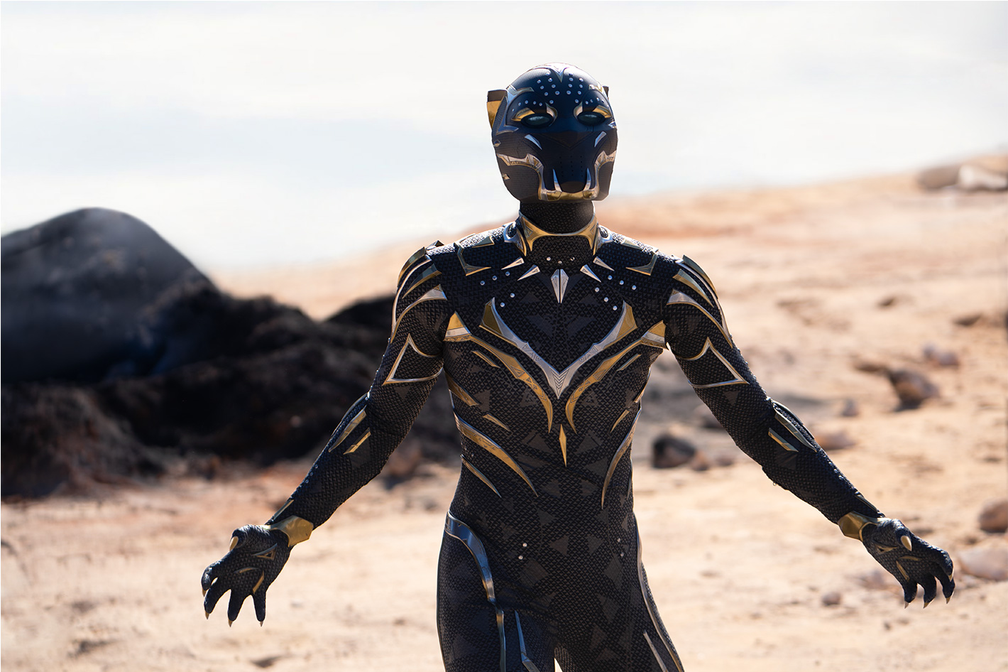 Black Panther: Wakanda Forever: Everything to Know