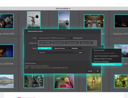 DxO PureRAW: version 4.6 now available