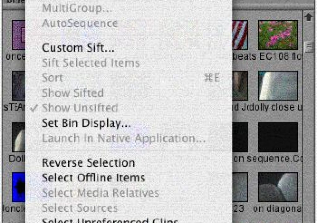 avid profile offline editor for mac