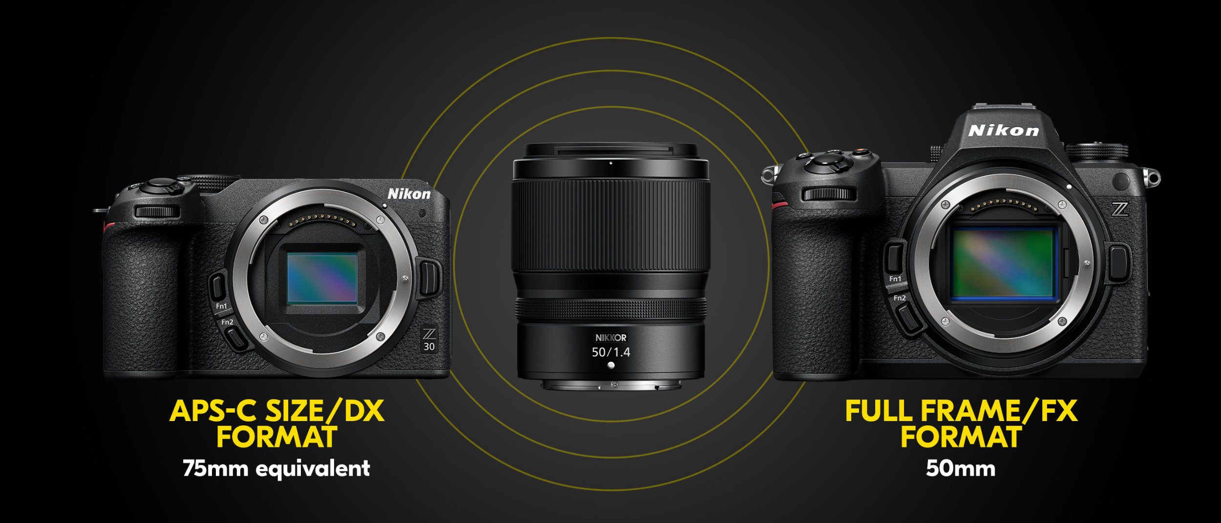 NIKKOR Z 50mm f/1.4: a nifty-fifty for the Nikon Z mount system