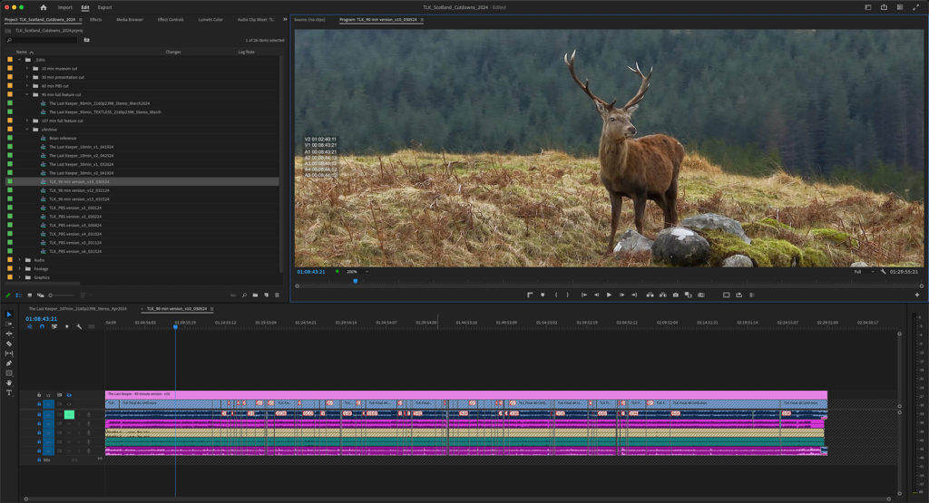 How to Edit Smarter in Premiere Pro 29