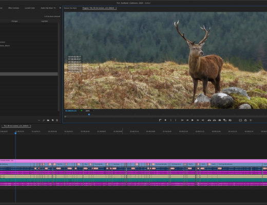 How to Edit Smarter in Premiere Pro 34