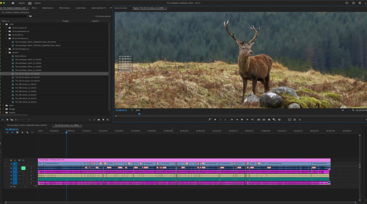 How to Edit Smarter in Premiere Pro 1