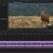 How to Edit Smarter in Premiere Pro 11