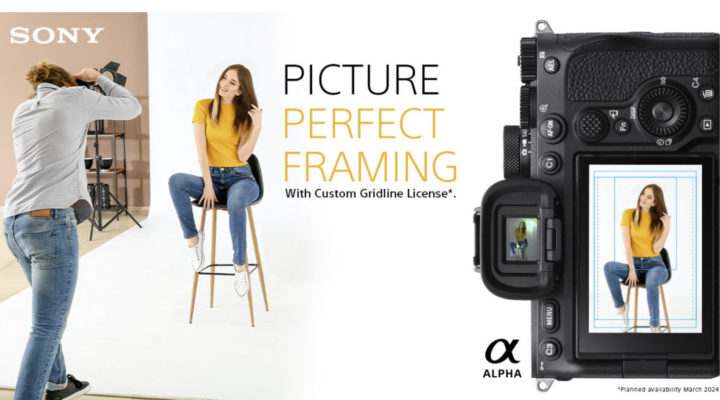 Sony announces custom gridline license for Alpha cameras