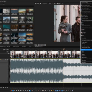 VEGAS Pro 22 gets new free update